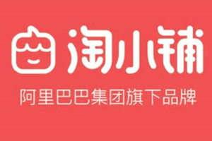 淘小鋪是免費(fèi)好還是399好